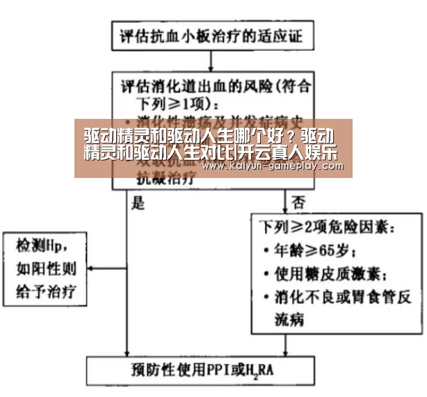开云体育娱乐平台