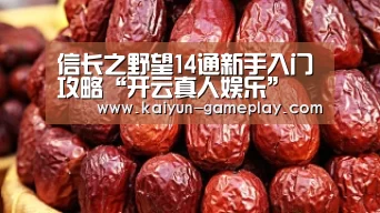 信长之野望14通新手入门攻略“开云真人娱乐”(图1) 开云真人娱乐