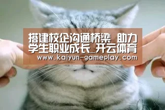 开云综合娱乐平台