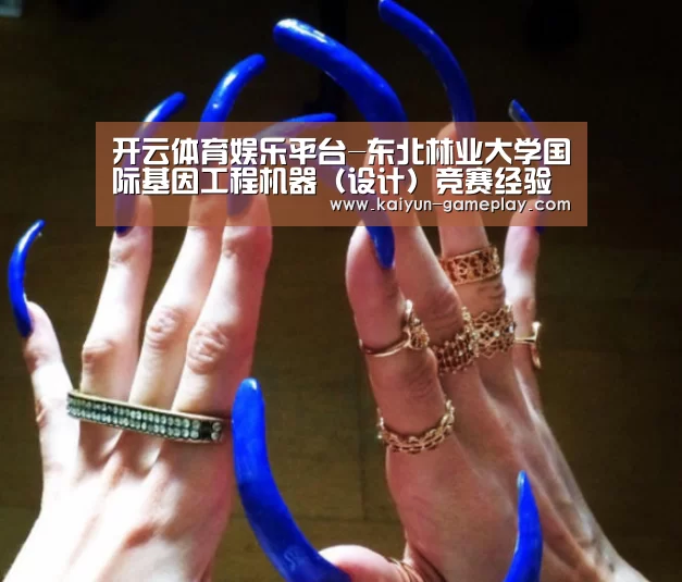 开云体育娱乐平台-东北林业大学国际基因工程机器(设计)竞赛经验交流会顺利召开(图1) 开云真人娱乐